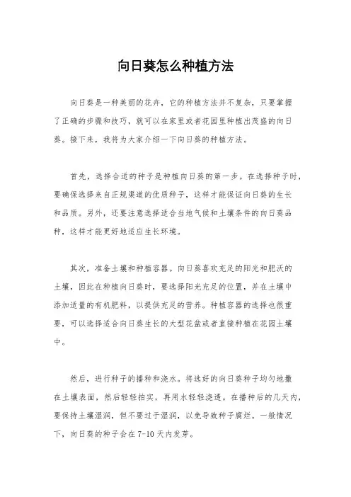 向日葵怎么种植方法