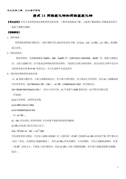 高中化学 最易错系列  两性氧化物和两性氢氧化物 