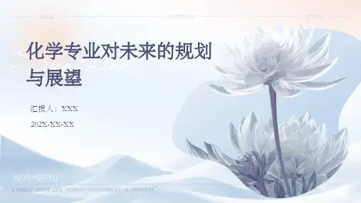 化学专业对未来的规划与展望