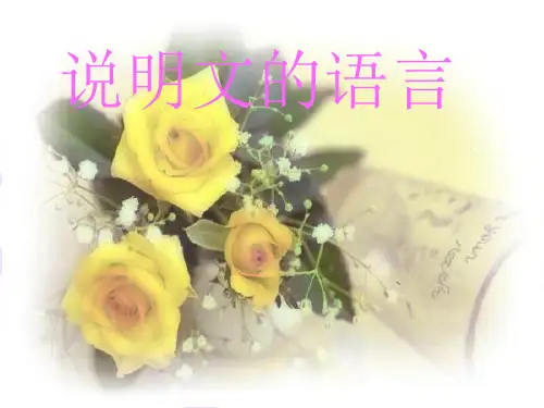 说明文语言的特点ppt课件