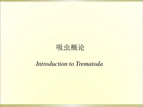 肝吸虫 PPT课件