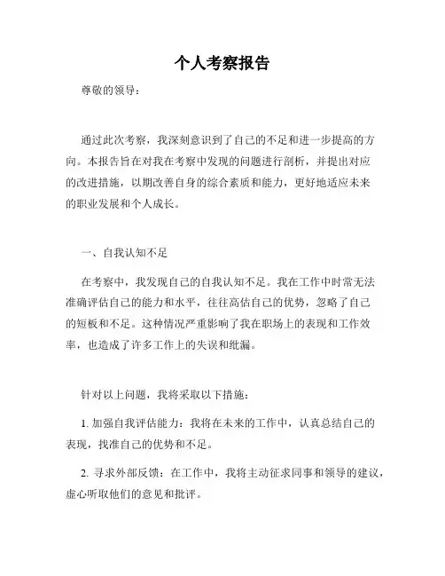 个人考察报告