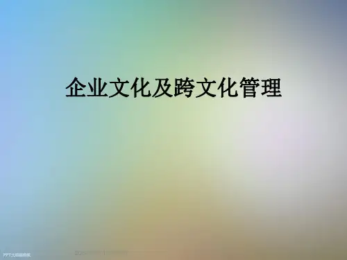 企业文化及跨文化管理