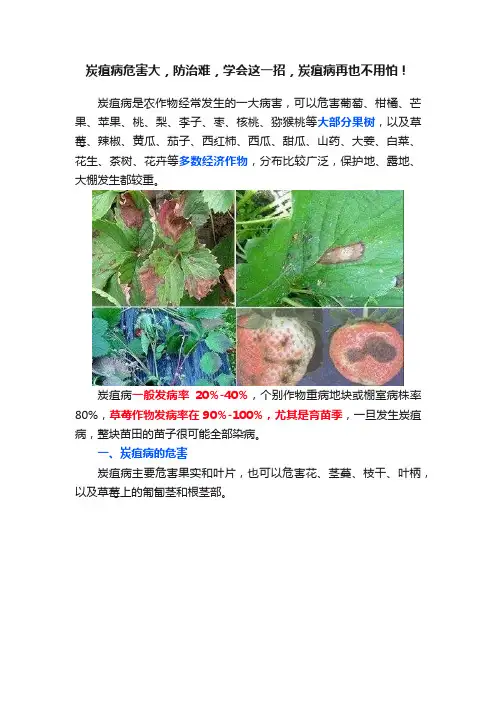 炭疽病危害大，防治难，学会这一招，炭疽病再也不用怕！