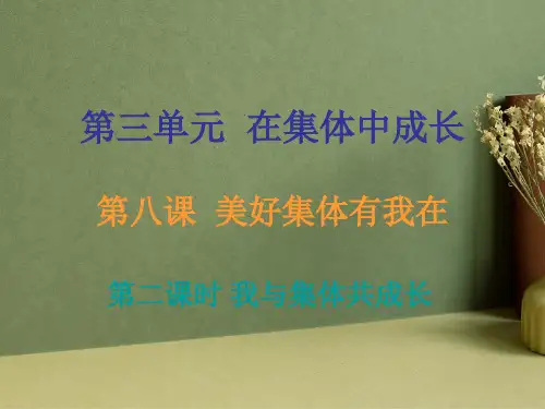 我与集体共成长课件PPT