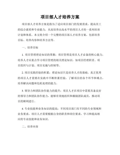 项目部人才培养方案