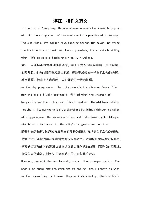 湛江一模作文范文