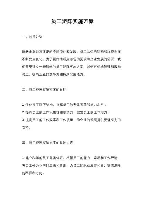 员工矩阵实施方案