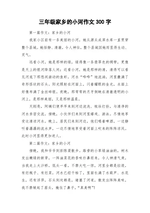 三年级家乡的小河作文300字_作文