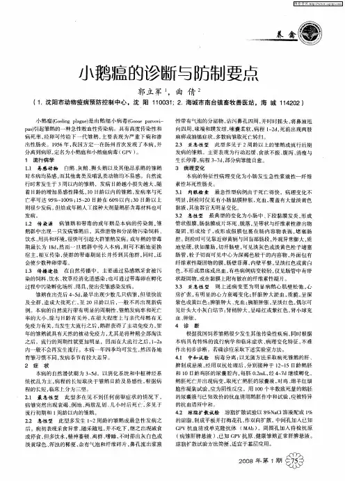 小鹅瘟的诊断与防制要点
