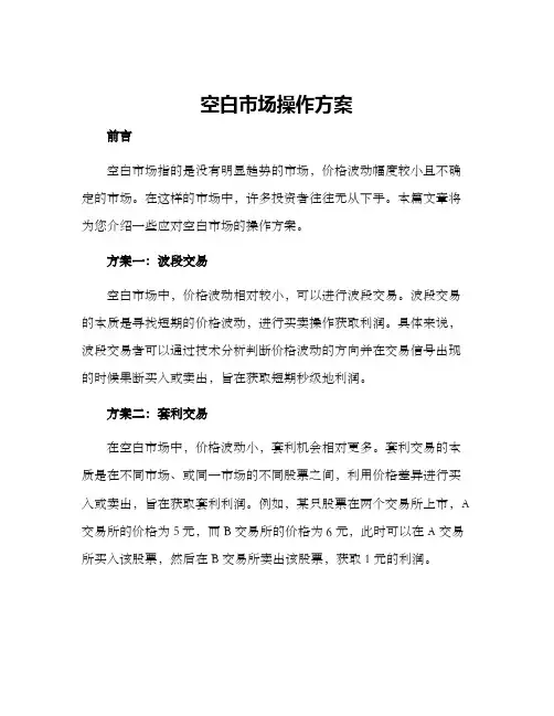 空白市场操作方案