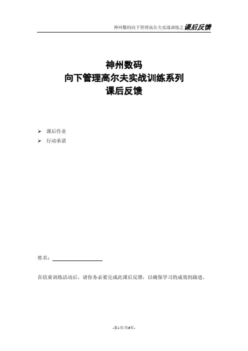 向下管理高尔夫-神州数码