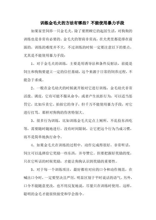 训练金毛犬的方法有哪些？不能使用暴力手段
