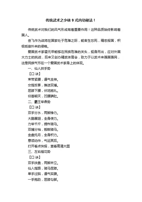 传统武术之少林9式内功秘法！