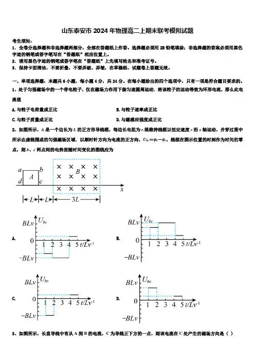 山东泰安市2024年物理高二上期末联考模拟试题含解析
