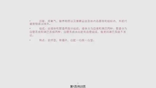 鱼类学循环系统PPT课件
