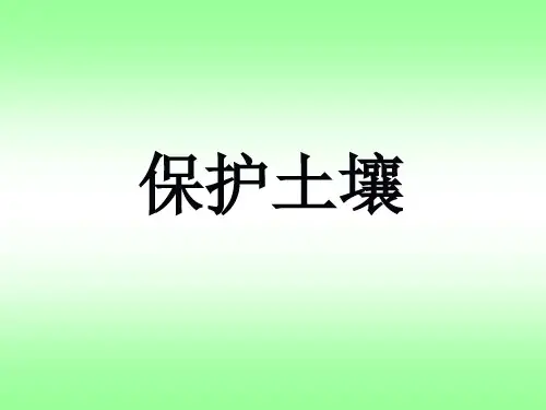 苏教版三年级科学上册《7.保护土壤》