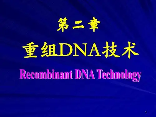 生物化学课件  第二章 重组DNA技术