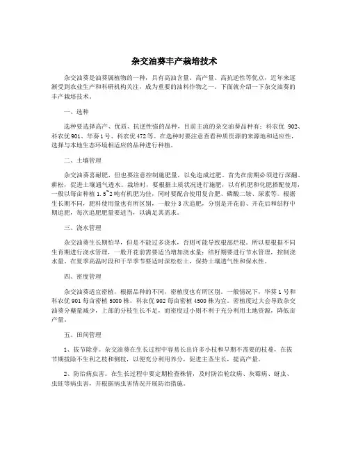 杂交油葵丰产栽培技术