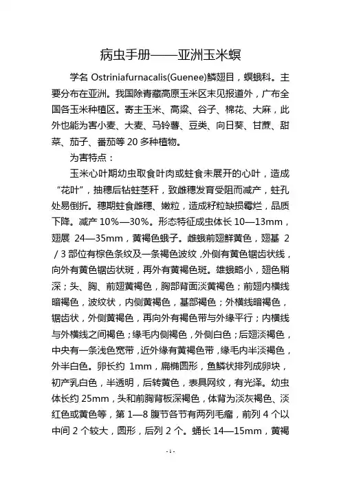 病虫手册——亚洲玉米螟