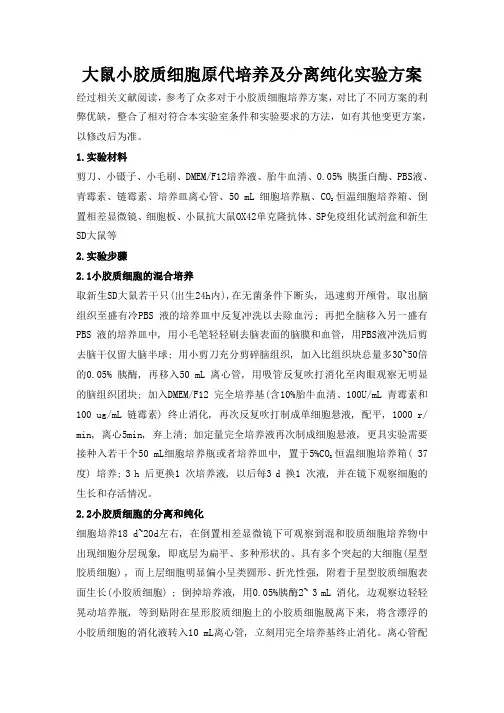 大鼠小胶质细胞原代培养及分离纯化实验方案