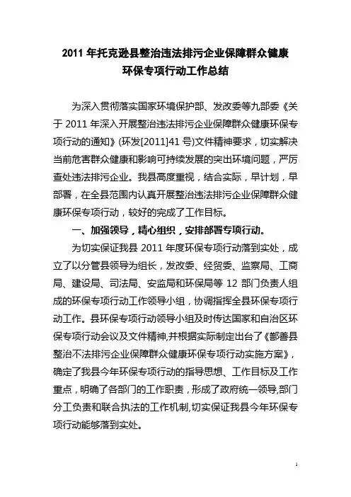 2011年专项行动总结