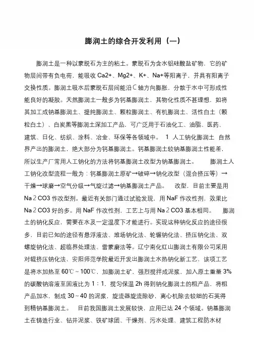 膨润土的综合开发利用(一)