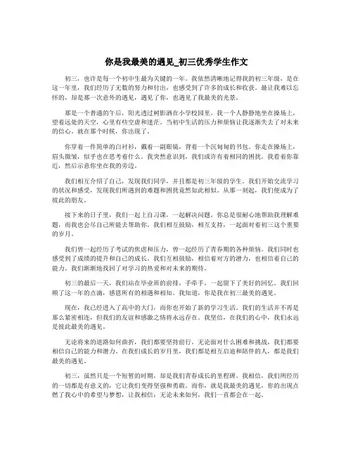 你是我最美的遇见_初三优秀学生作文