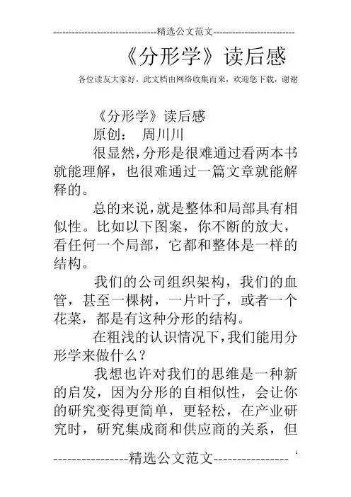 《分形学》读后感