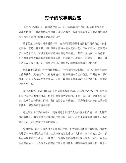 钉子的故事读后感