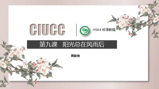 HSK4标准教程上第九课阳光总在风雨后演讲稿.pptx