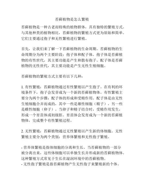 苔藓植物是怎么繁殖