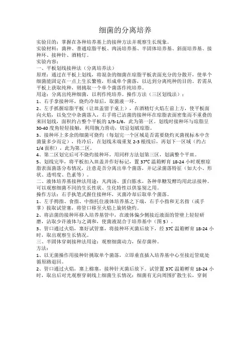 细菌的分离培养