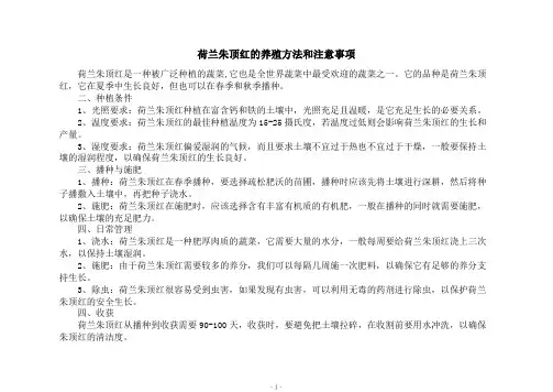 荷兰朱顶红的养殖方法和注意事项