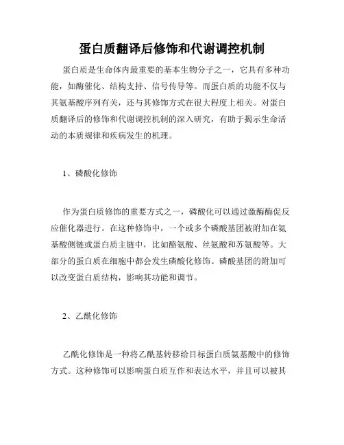 蛋白质翻译后修饰和代谢调控机制