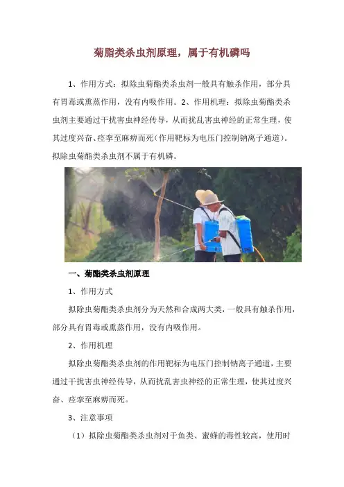 菊脂类杀虫剂原理,属于有机磷吗