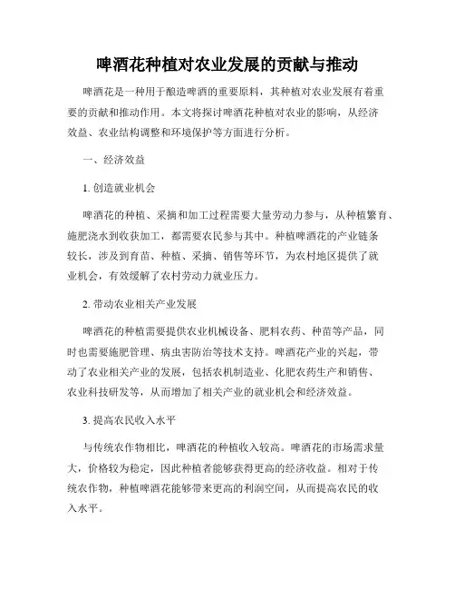 啤酒花种植对农业发展的贡献与推动