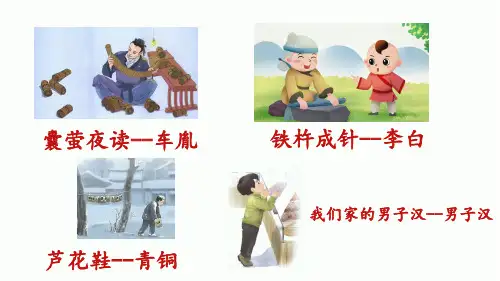 部编版语文四年级下册19《小英雄雨来》(节选)课件(共17张PPT)