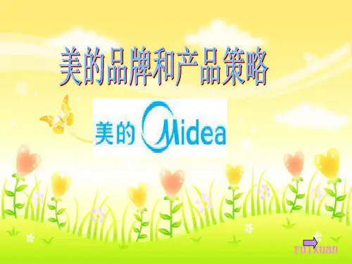 美的品牌和产品组合策略最终版-PPT精品文档