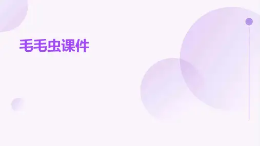 毛毛虫课件