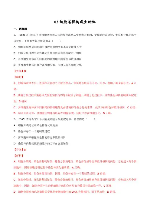 专题03 细胞怎样构成生物体(解析版)