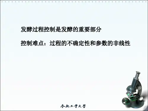 发酵过程的代谢控制PPT课件