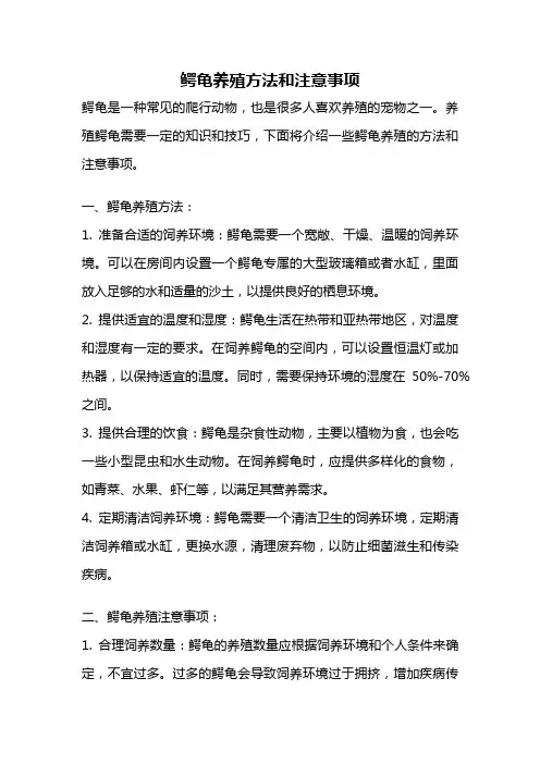 鳄龟养殖方法和注意事项