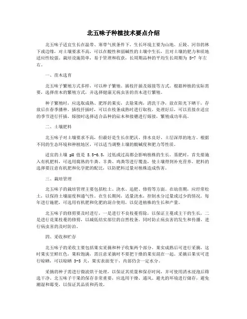 北五味子种植技术要点介绍