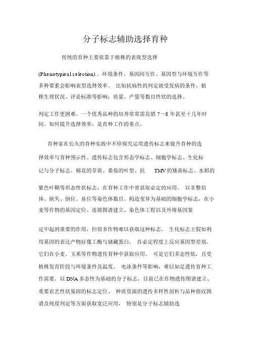分子标记辅助选择育种