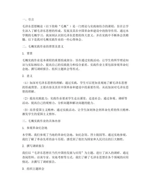 毛概的实践作业心得体会