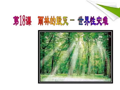 18.雨林的毁灭——世界性灾难