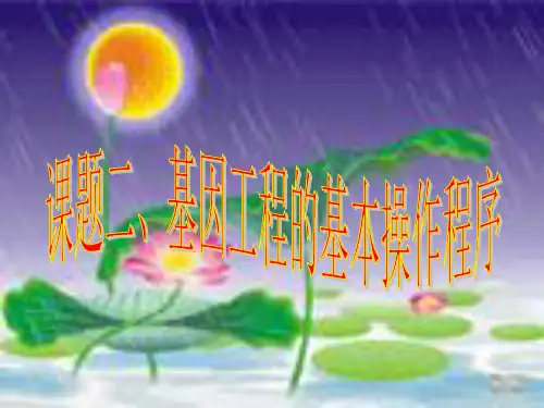 人教版教学教案新人教-高中生物选修3基因工程的基本操作程序