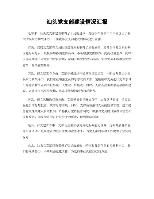 汕头党支部建设情况汇报