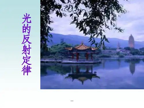 初二物理光的反射定律(教科版)